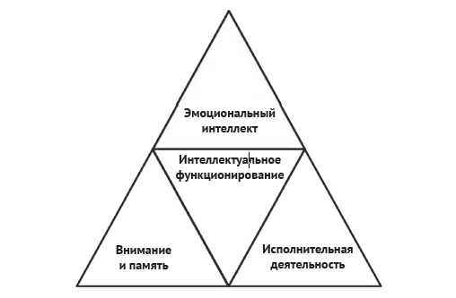 Когнитиовино-ведущий 
